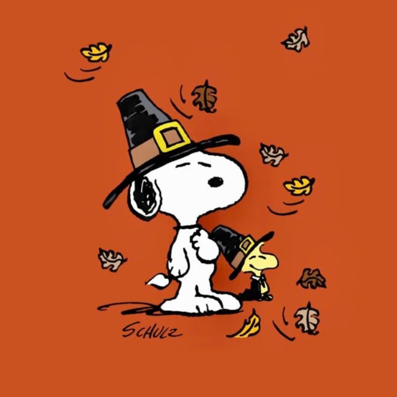 Thanksgiving Mystery Tees