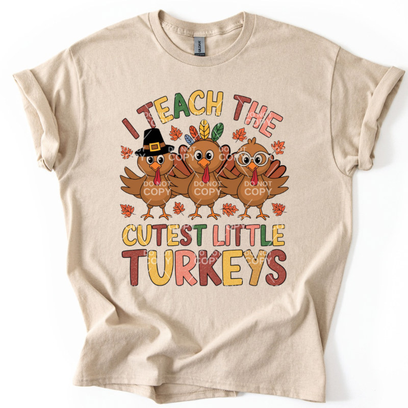 Teaching Turkeys Top