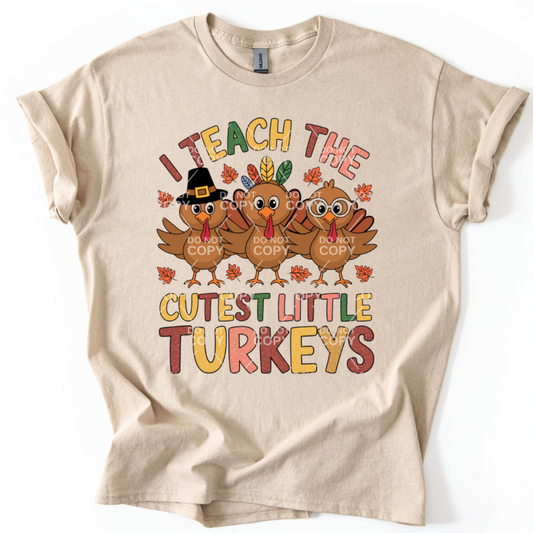 Teaching Turkeys Top