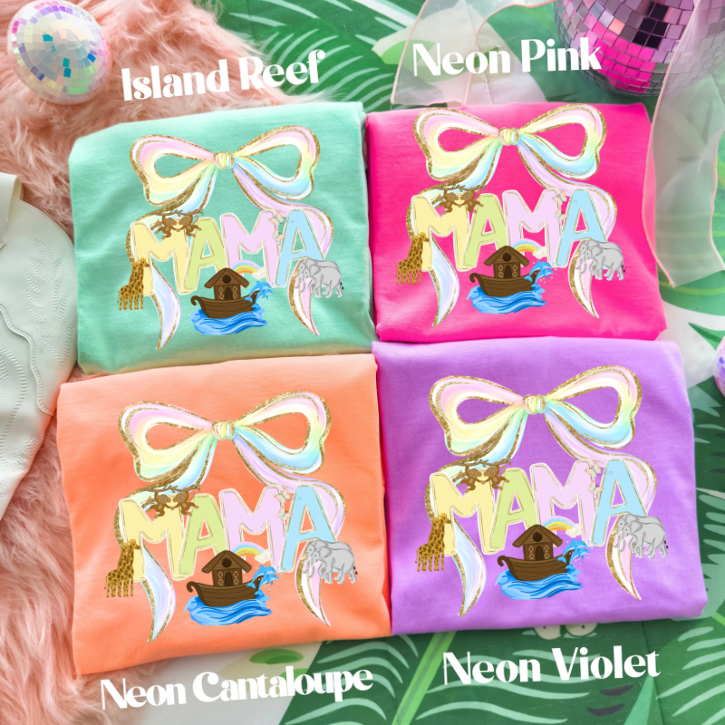 Noah’s Ark Name Tee (Adult)