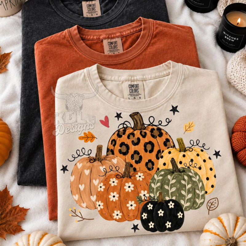 Pretty Pumpkin Patch Top