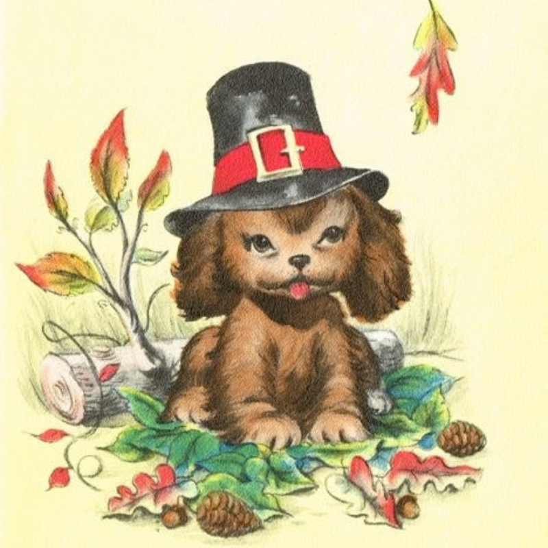 Thanksgiving Mystery Tees